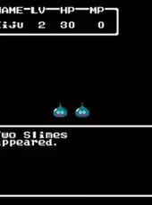 Dragon Warrior II