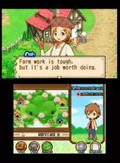 Harvest Moon: The Tale of Two Towns