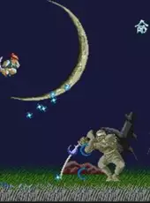 Ninja Spirit