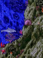 Ecco the Dolphin