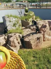 Zoo Simulator
