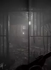 Total Chaos