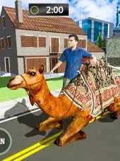 Passenger Camel Taxi Driving