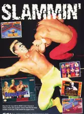 WCW SuperBrawl Wrestling