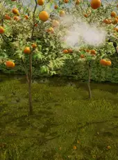 Orchard Simulator