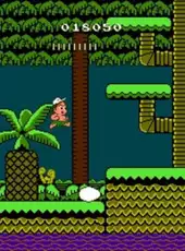 Adventure Island II