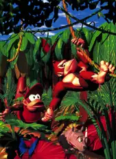 Donkey Kong Country