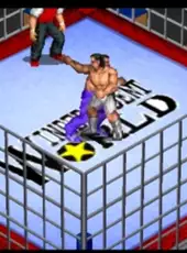 Fire Pro Wrestling G
