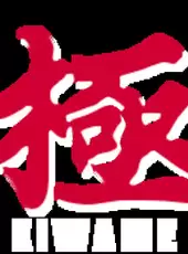 Pro Mahjong Kiwame