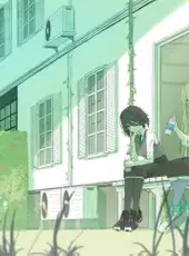 Everlasting Flowers