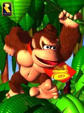 Donkey Kong Country