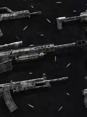 Insurgency: Sandstorm - Digital Splatter Weapon Skin Set