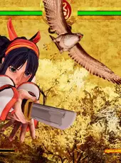 Samurai Shodown: Deluxe Edition