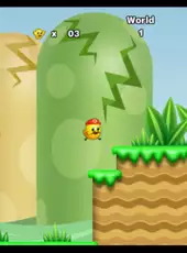 New Super Chick Sisters