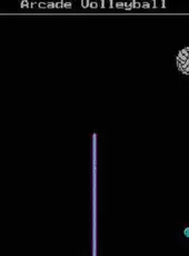 Arcade Volleyball
