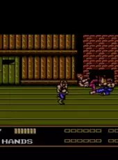 Double Dragon III: The Sacred Stones