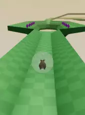 Hammy
