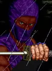 Ninja Gaiden