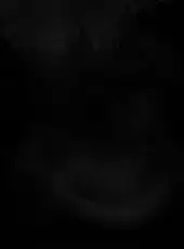 Slender: The Eight Pages