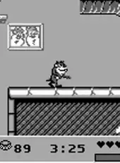 Taz-Mania 2