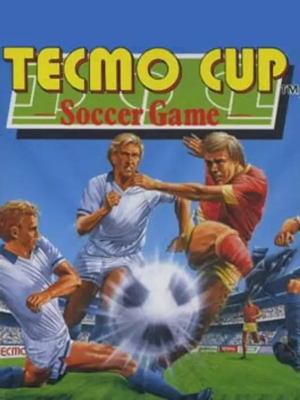 Tecmo Cup Soccer Game