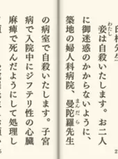 DS Bungaku Zenshuu