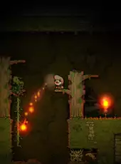 Spelunky 2