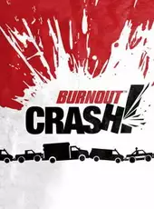 Burnout Crash!