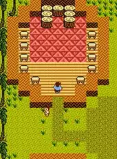 StarTropics