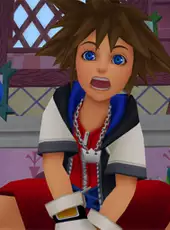 Kingdom Hearts HD 1.5 + 2.5 Remix