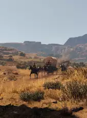 This Land Is My Land