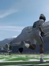 Lacrosse 26