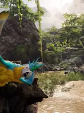 Pirates VR: Jolly Roger