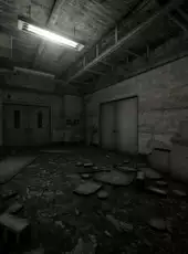 Days Without Incident