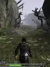 Ravensword: The Fallen King