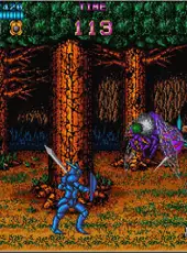 Arcade Archives: Castle of Dragon