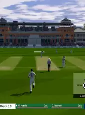 Cricket 19