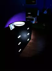 Thief Simulator