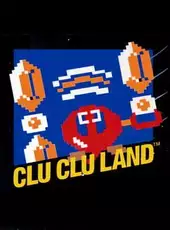 Clu Clu Land