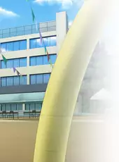 Platonically Mauled by a Magic Cougar