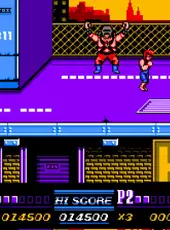 Double Dragon II: The Revenge