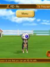 Derby Dogs