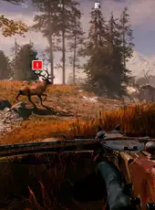 Alaska Gold Fever