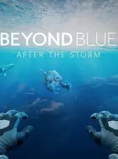 Beyond Blue: After the Storm