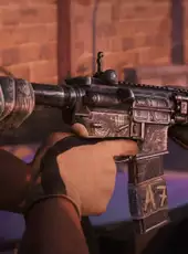 Insurgency: Sandstorm - Accolade Set Bundle