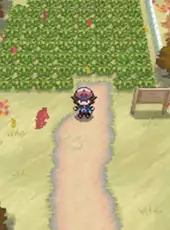 Pokémon Black Version