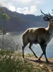 theHunter: Call of the Wild - Emerald Coast Australia