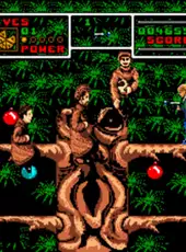 Home Alone 2: Lost in New York