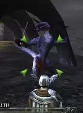 Ravensword: The Fallen King