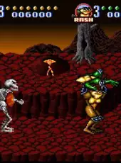 Battletoads In Battlemaniacs